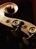 Double bass headstock