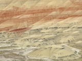 The Painted Hills at the John Day Fossil Beds National Monument  Oregon  USA