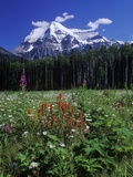 Mount Robson  3954 M  Highest Peak in Canadian Rockies  British Columbia  Canada