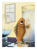 Fish Out of Water