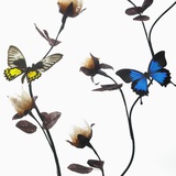 Butterflies with flowers