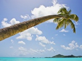Idyllic tropical beach