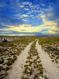 Dirt Road in Grand Canyon National Park
