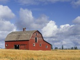 Old Barn Near Devon  Alberta  Canada