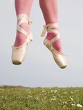 Ballerina jumping in a field