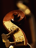 Double Bass Headstock