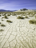 Dry and cracked mud flats in Death Valley National Park