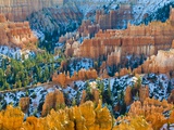 Hoodoos at Bryce Canyon