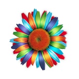 Brightly colored daisy