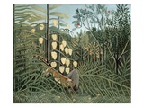In a Tropical Forest (Struggle between Tiger and Bull)