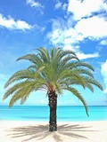 Palm tree on tropical beach
