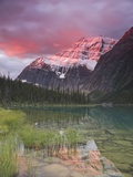 Mount Edith Cavell and Cavell Lake at sunrise  Jasper  Alberta  Canada