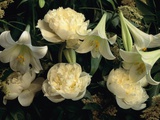 Easter Lilies and White Peonies
