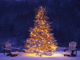 Snow Covering Adirondack Chairs by Lit Christmas Tree