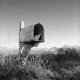 Mailbox