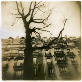 Urban Paris Landscape with Tree