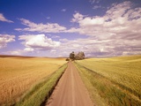 Dirt Road Stretching Through Fields