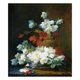 Still-Life of Christmas Roses