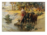 The Oasis