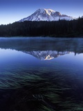 USA  Mount Rainier National Park  Morning View from Reflection Lake