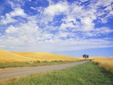 Dirt Road Running Through Farm Fields