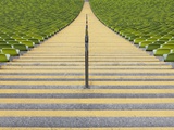 Stadium stairway between rows of green seats