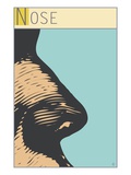 Nose