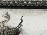 Birds on tiled roof in Xidi  China