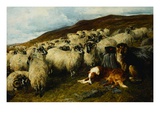Weary But Watchful