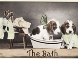The Bath