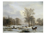 A Winter Landscape