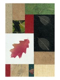 Essential Nature  Block 2T