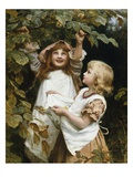 Woodland Harvest