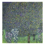 Roses under the Trees