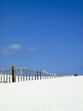 Little Talbot Island