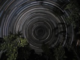 Southern Sky star trails over Banksia Trees