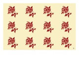 Flowers 2