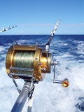 Fishing from Boat's Stern