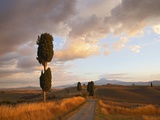 Orcia valley in summer