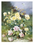 A Still Life of Pink and Yellow Roses