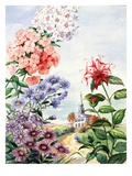Portrait of wildflowers native to eastern United States