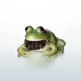 Frog Wearing Beard