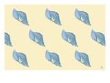 Shells 3