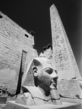 Detail of the Temple of Luxor