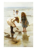 Playing on the Beach