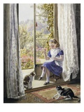 A Summer Afternoon