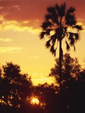 Sunset in Botswana