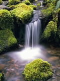 Mossy Rocks and Creek Waterfall