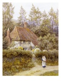 Pine Tree Cottage