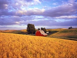 Barn Surrounded by Fields